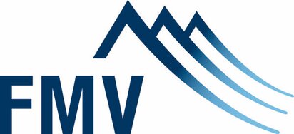 fmv